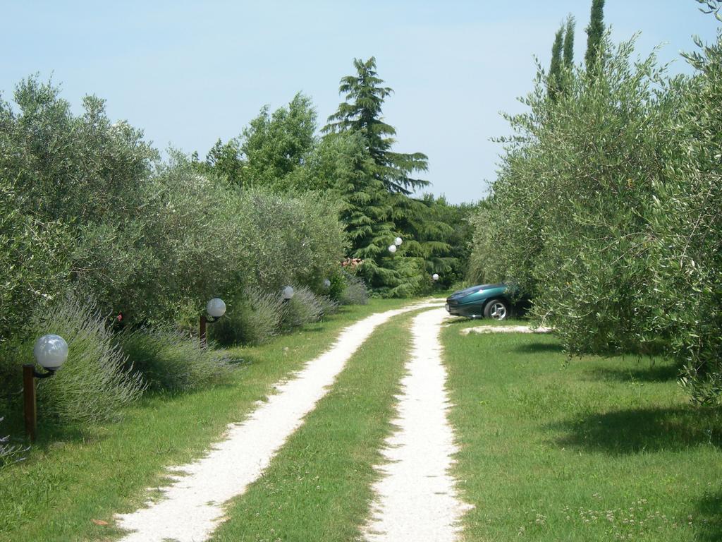 Bed and Breakfast Vista Asyż Zewnętrze zdjęcie