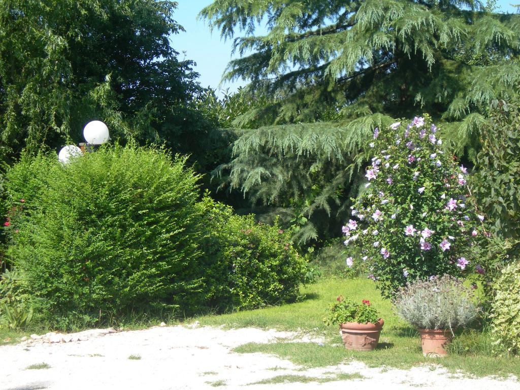 Bed and Breakfast Vista Asyż Zewnętrze zdjęcie