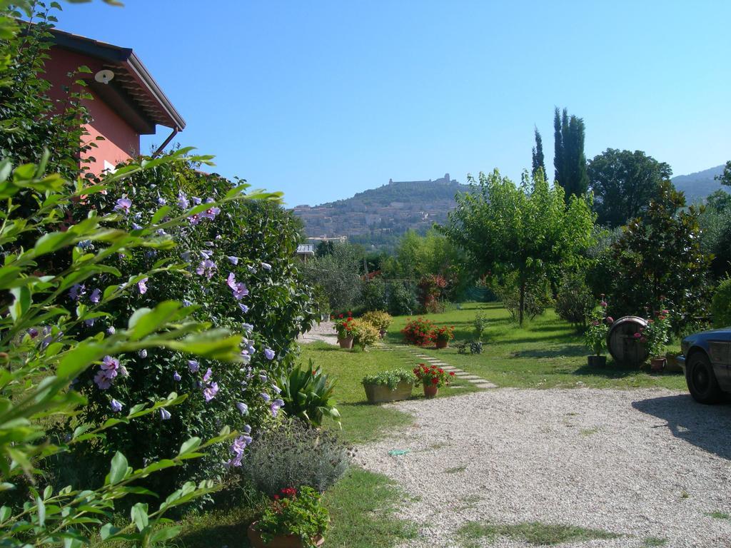 Bed and Breakfast Vista Asyż Zewnętrze zdjęcie